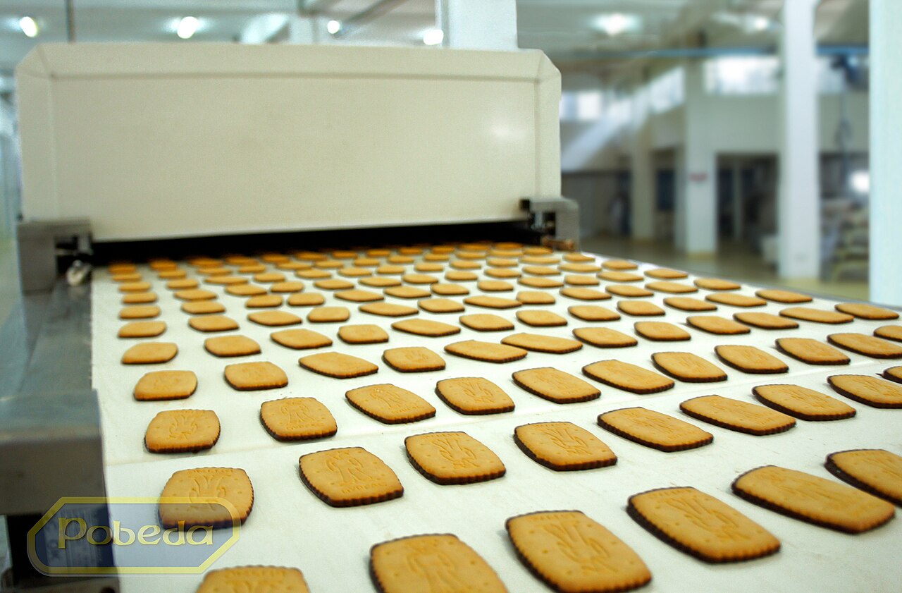 Biscuit