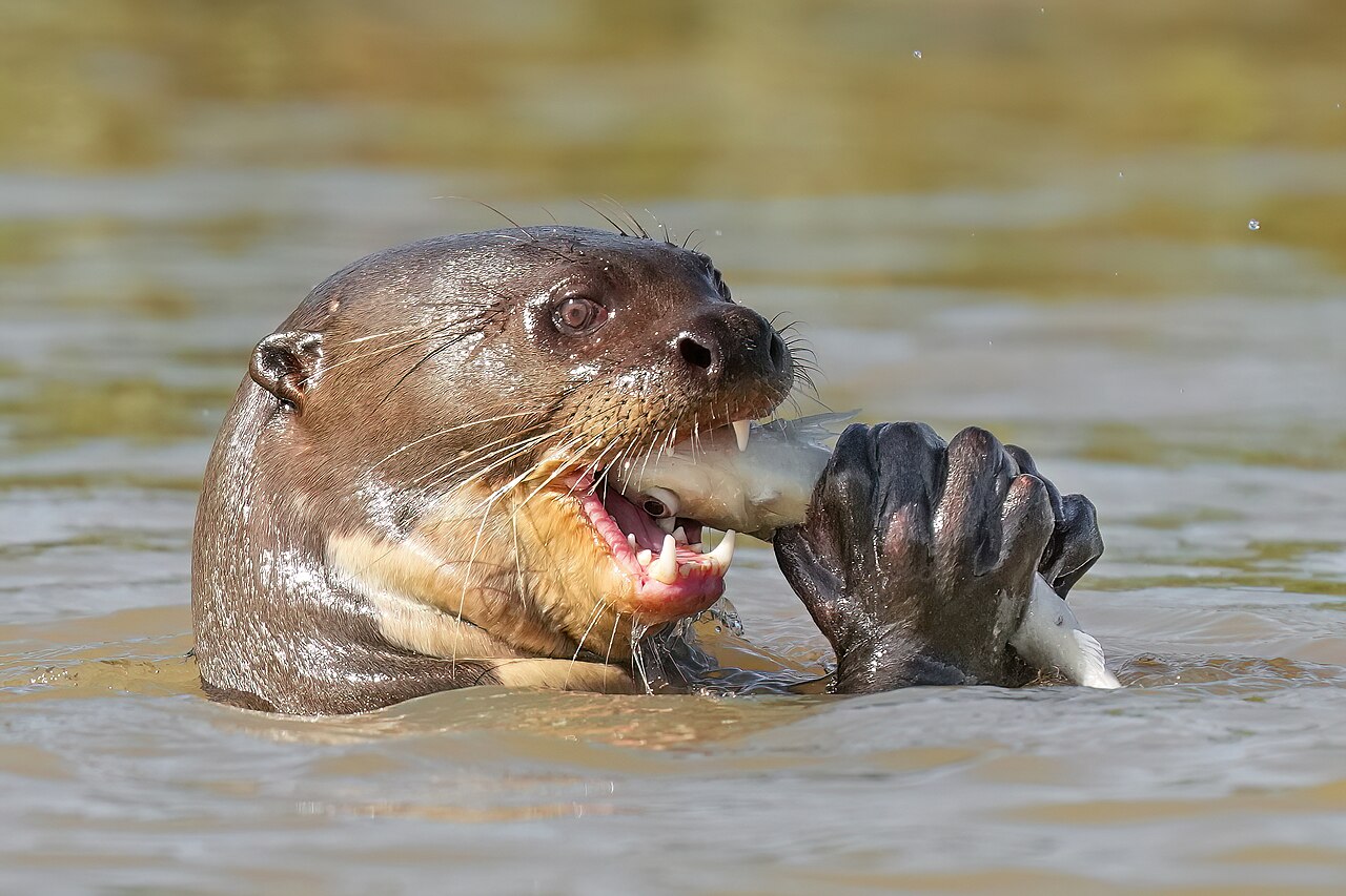 Eating