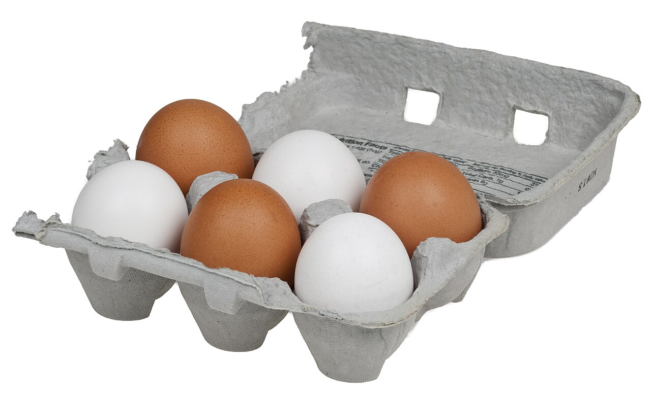 Eggs as food